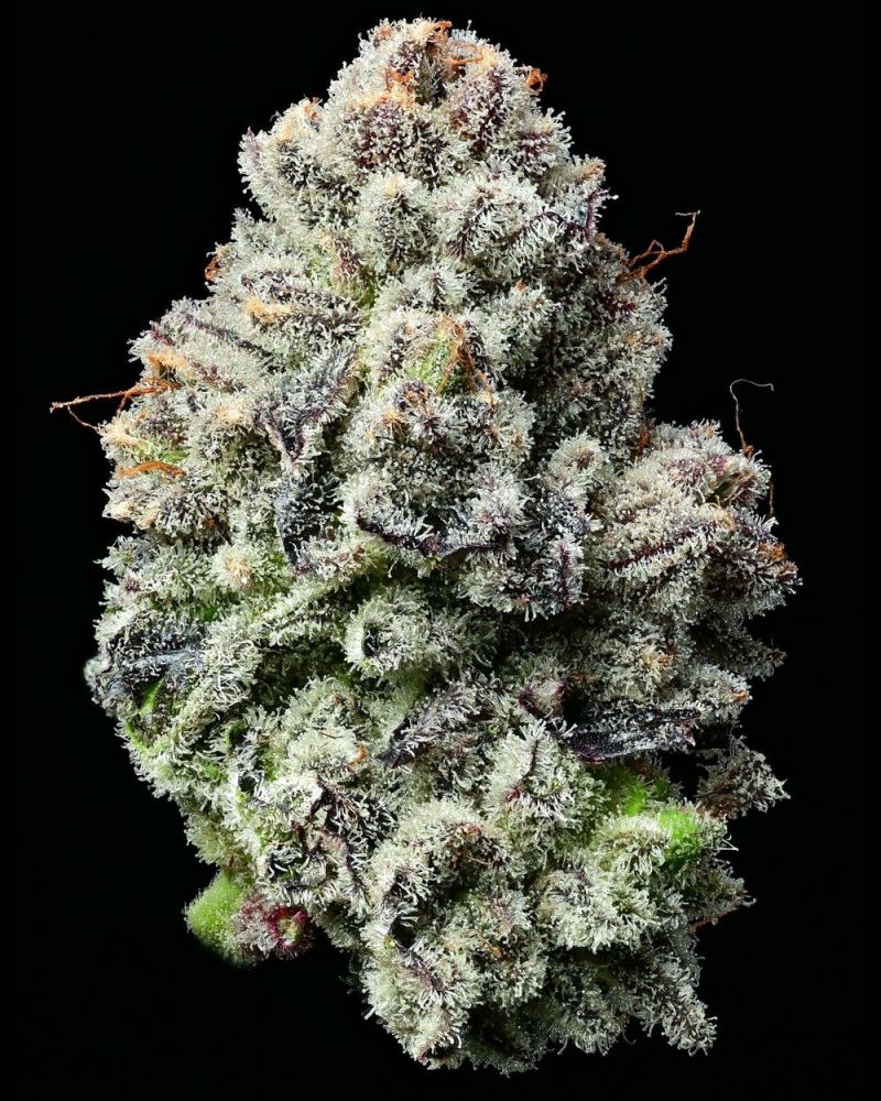 Купити насіння Lemon Cherry Gelato, Barney's Farm : 1 фемінізоване