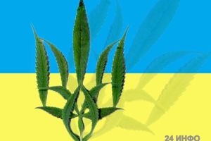 Украинцы сделали сайт «Канабіс Зараз», чтобы рассказать о пользе марихуаны.