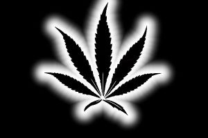 мифы о пользе марихуаны