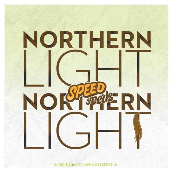 Northern Light feminized, 60 шт фемінізованих, 60