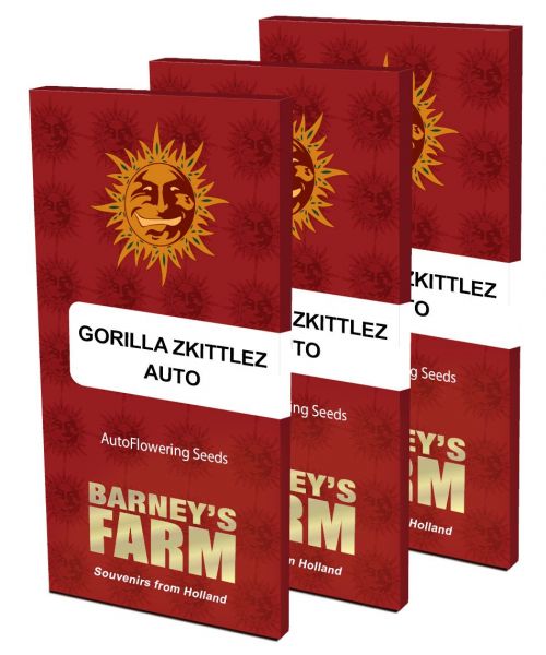 Auto Gorilla Zkittlez Feminised, Barney's Farm