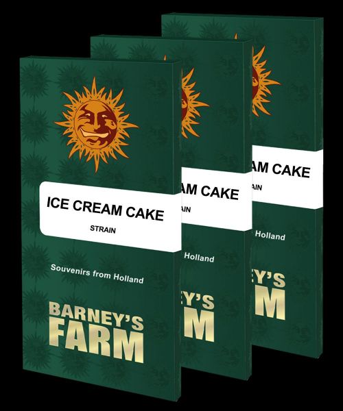 Ice Cream Cake Feminised, Barney's Farm