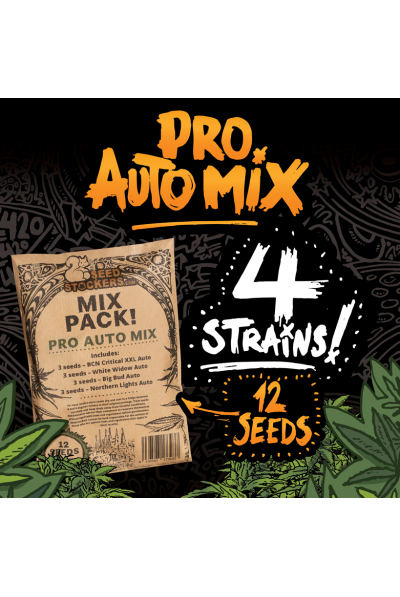 Auto Pro Mix feminized, Seedstockers