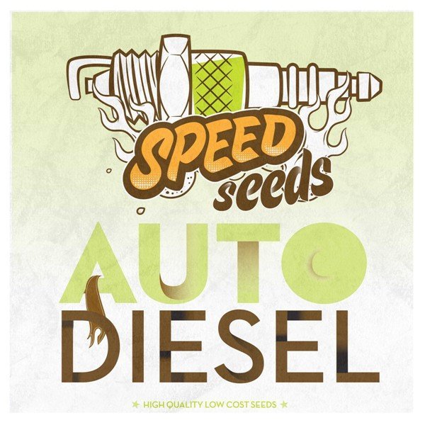 Auto Diesel feminized, Speed Seeds