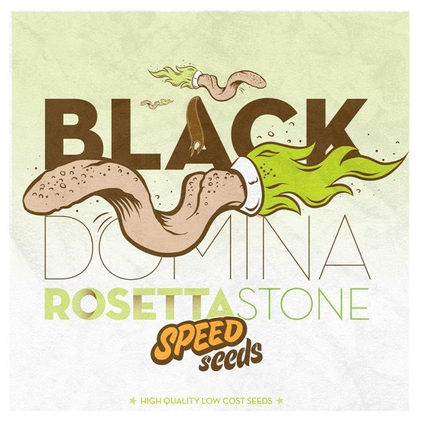 Black Domina x Rosetta Stone feminized, Speed Seeds
