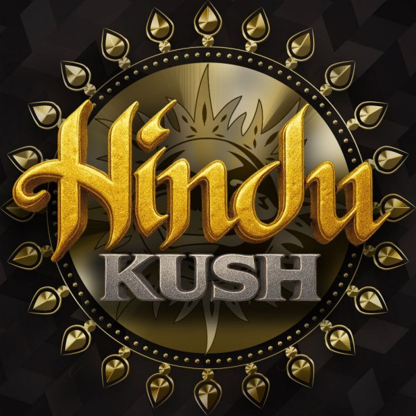 Hindu Kush Feminised, Barney's Farm