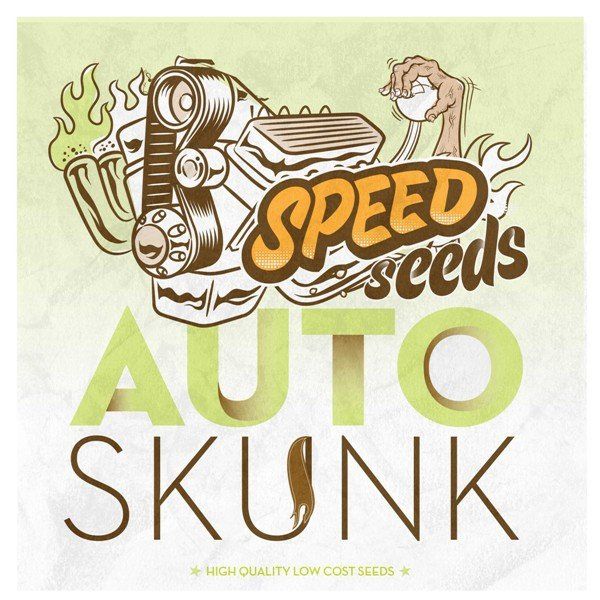 Auto Skunk feminized, 60 шт авто фемінізованих, 60