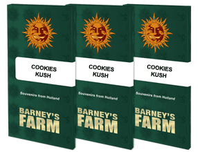 Cookies Kush Feminised, Barney's Farm