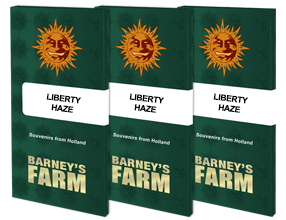 Liberty Haze Feminised, Barney's Farm