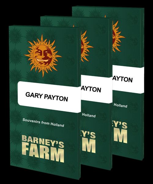 Gary Payton feminized, Barney's Farm