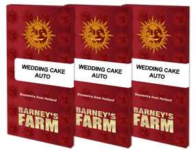 Auto Wedding Cake Feminised, Barney's Farm