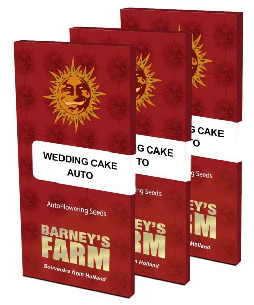 Auto Wedding Cake Feminised, Barney's Farm