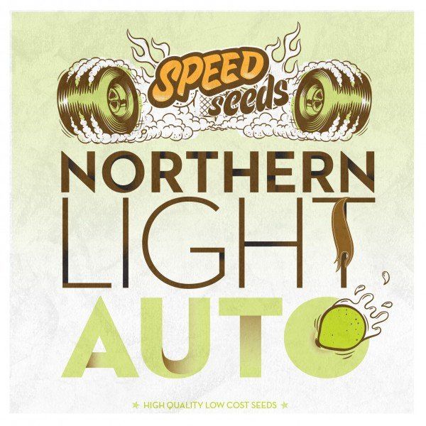 Auto Northern Light feminized, 30 шт авто фемінізованих, 30