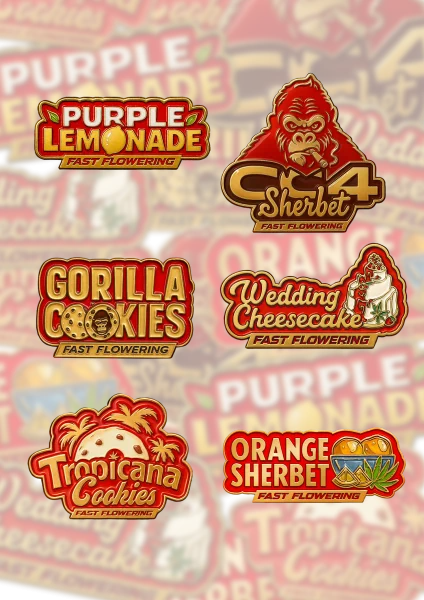 Fast F Mix Pack feminized, Fast Buds