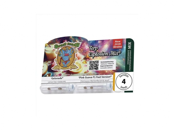 Terp Explosion Mix Feminizadas, Sweet Seeds