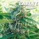 Early Version Sugar Black Rose feminized, Delicious Seeds
