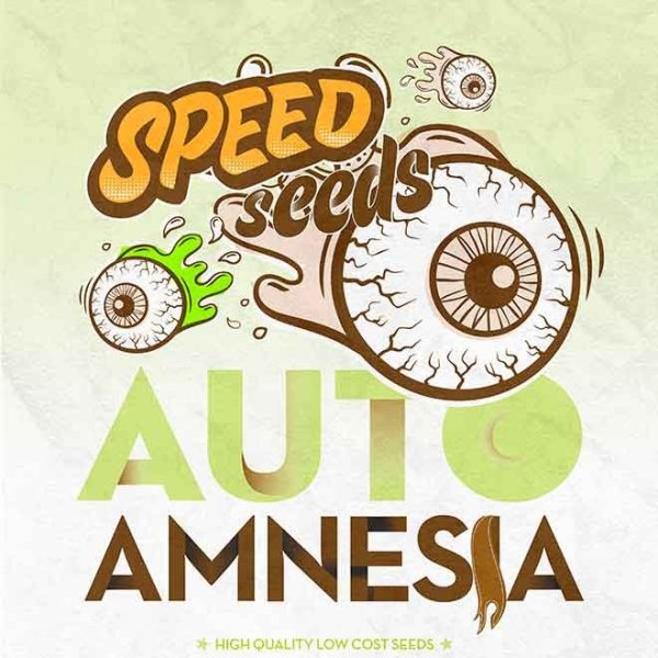 Auto Amnesia feminized, Speed Seeds