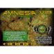 Amnesia Vip Feminised, VIP SEEDS
