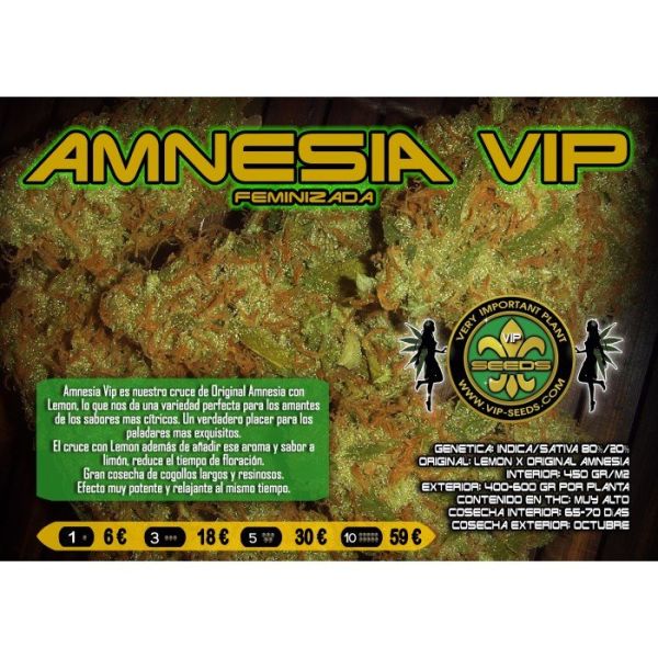 Amnesia Vip Feminised, VIP SEEDS
