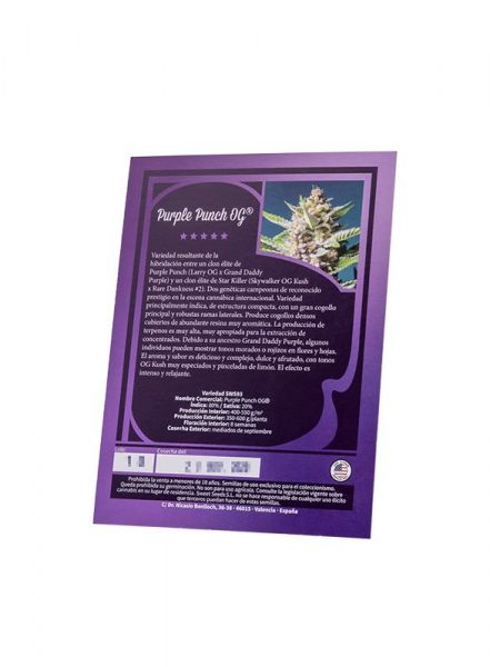 Purple Punch OG SWS93 feminized, Sweet Seeds